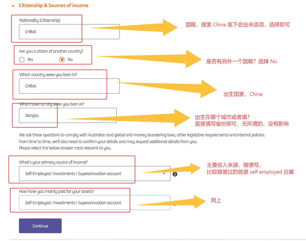 填写国籍、出生地和收入来源的截图